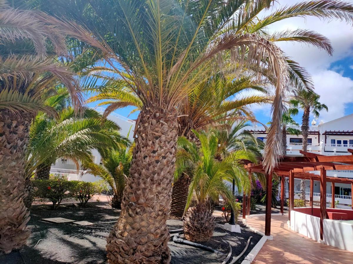 Flor De Cactus Apartment Costa Teguise Exterior photo