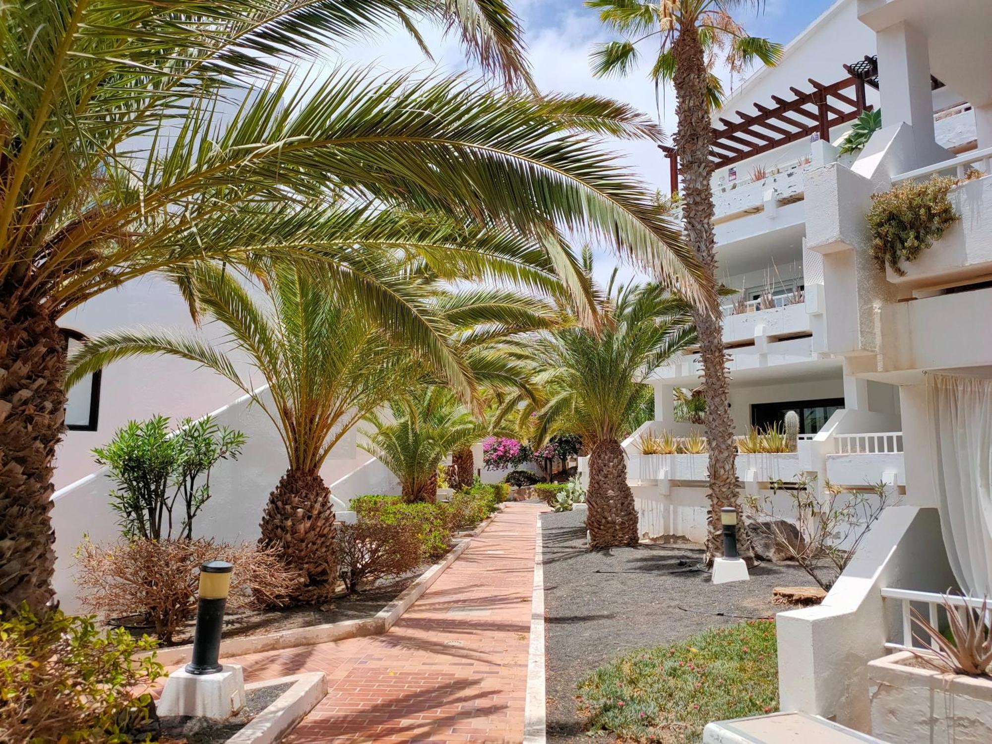 Flor De Cactus Apartment Costa Teguise Room photo